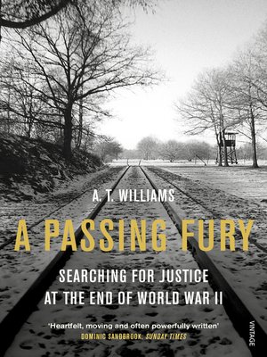 cover image of A Passing Fury